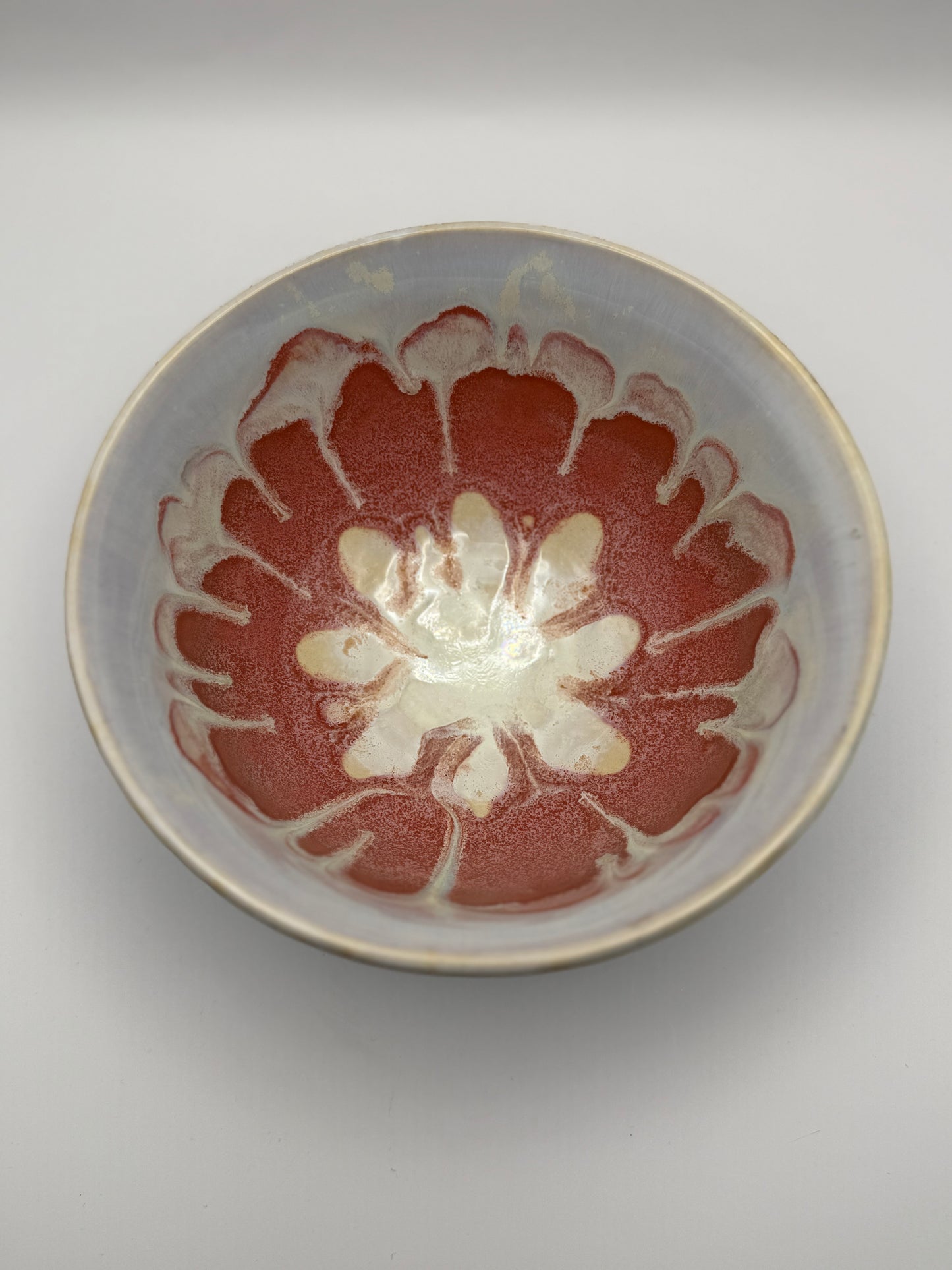 Petal Aurora