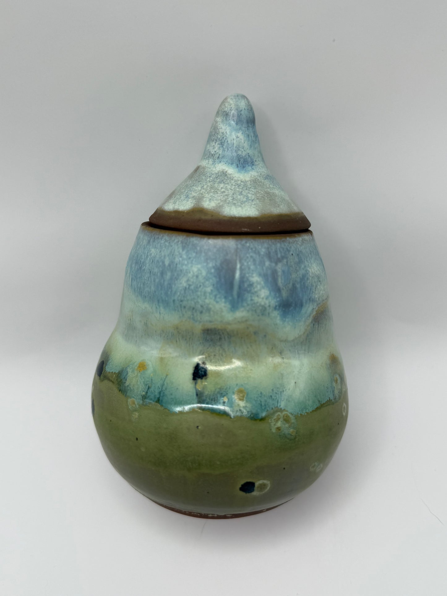 Mossy Lake Jar with Lid