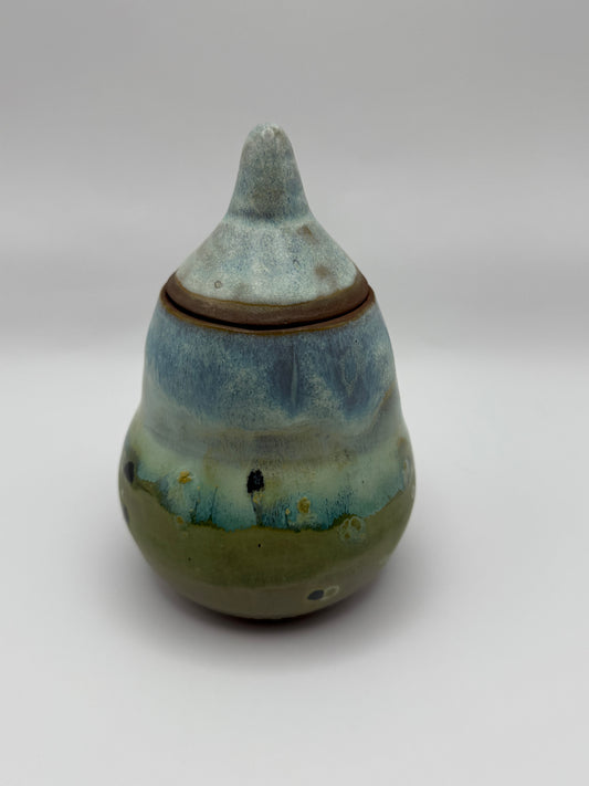 Mossy Lake Jar with Lid