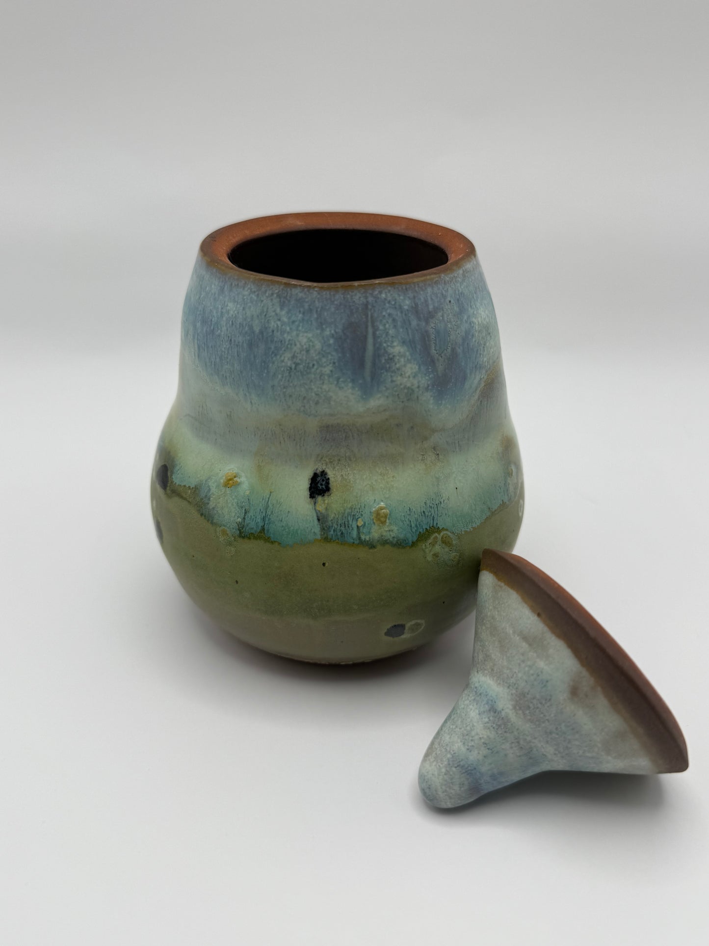 Mossy Lake Jar with Lid