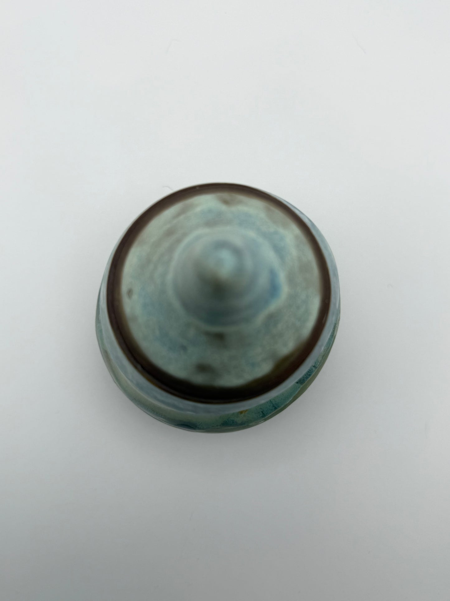 Mossy Lake Jar with Lid