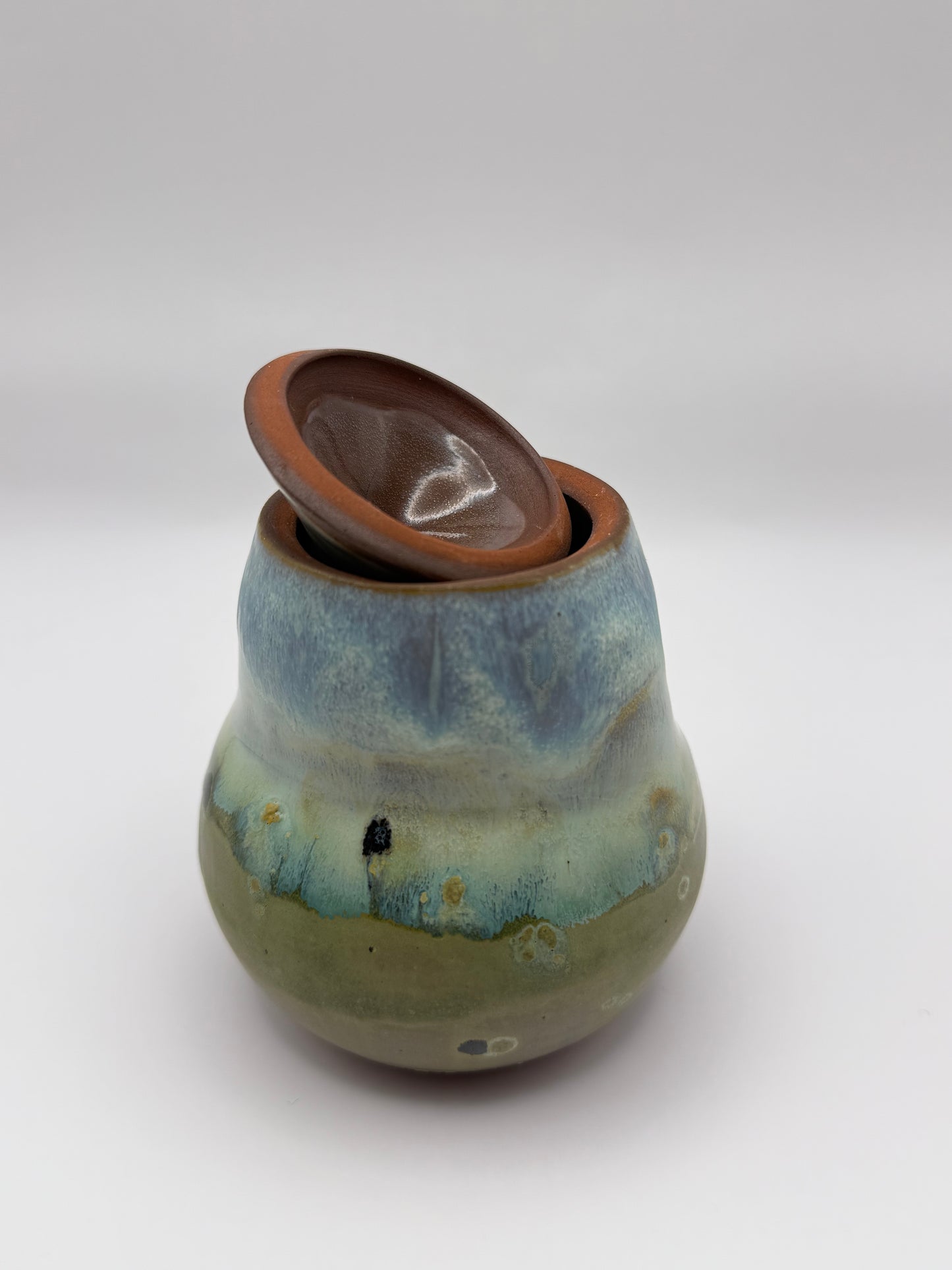 Mossy Lake Jar with Lid